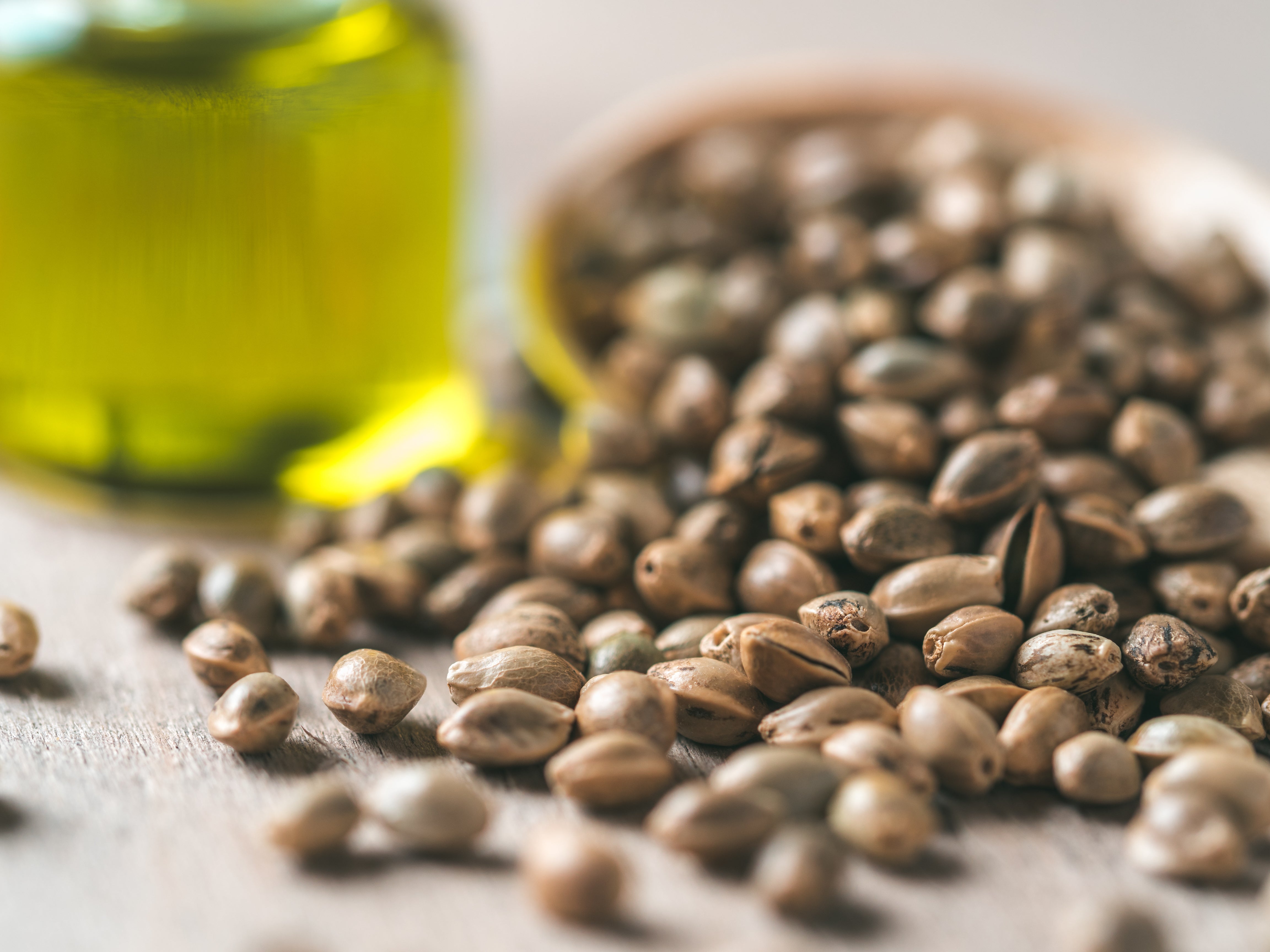 Hemp Seed Oil: The Controversial Superhero Behind Lush Beards